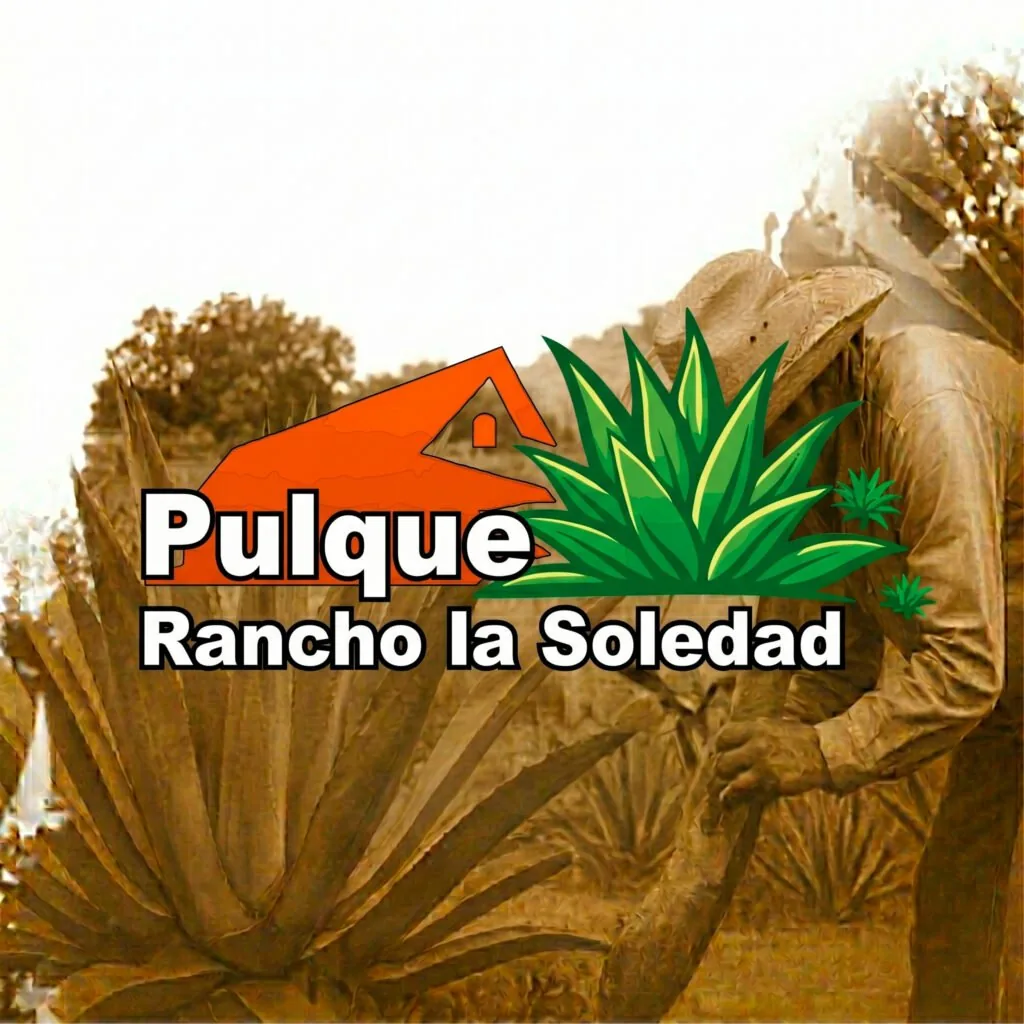 la soledad